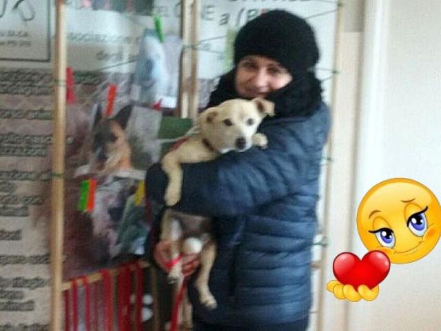 Louis ha trovato famiglia!